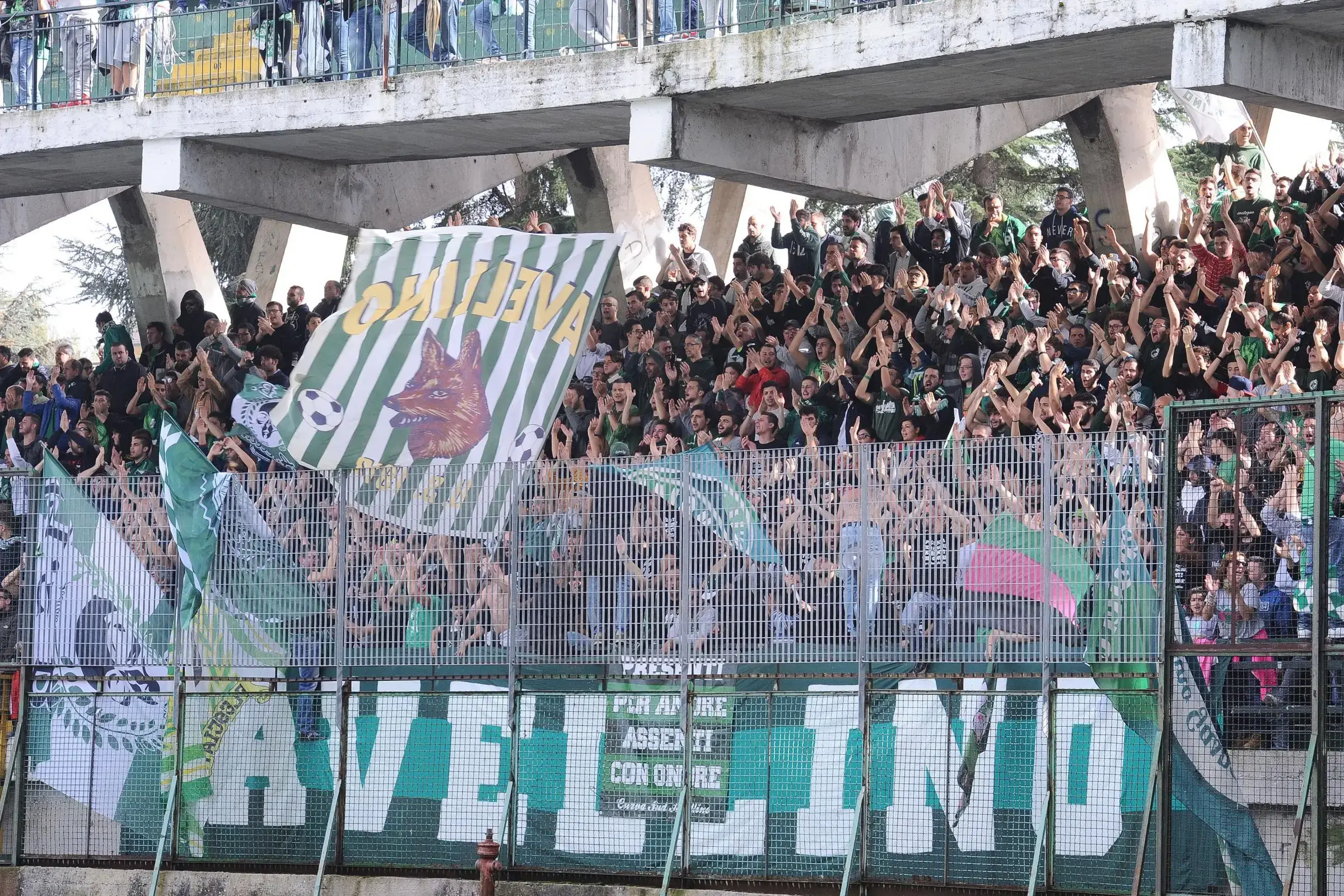 avellino1