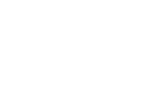 gruppo paim
