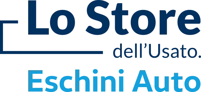 lo store usato