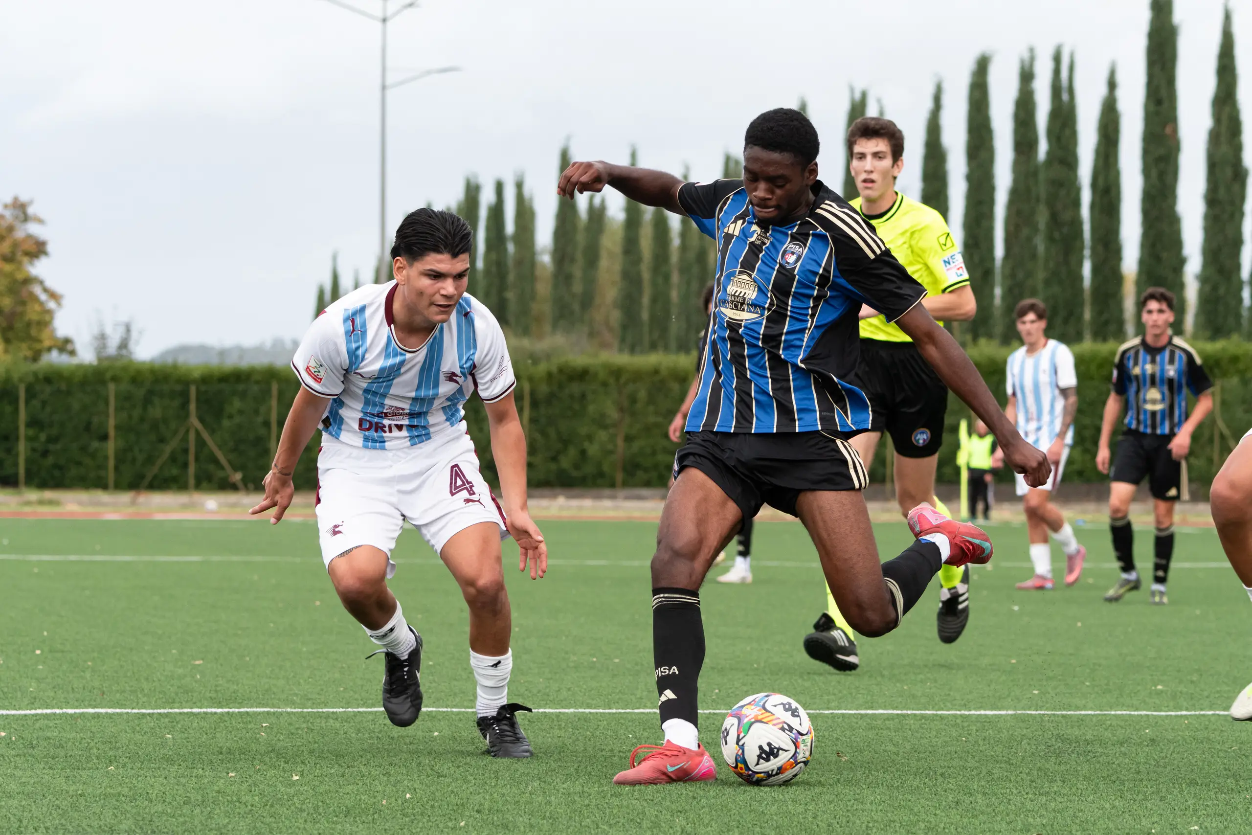 Primavera, vetta solitaria 5 IMG 019